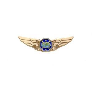Master Guide Wings Pin