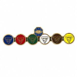 Master Guide Combined Class Pin