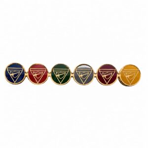 Pathfinder Combined Class Pin